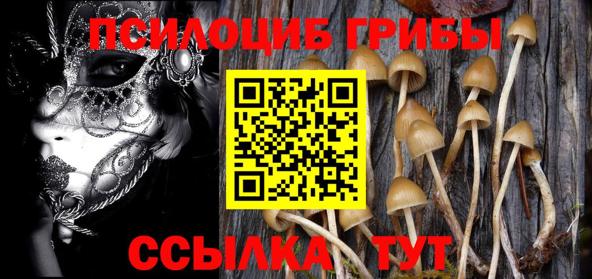 Псилоцибиновые грибы Magic Shrooms  Вход с VPN  Видное 